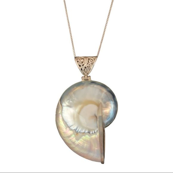 Jewelry - Chambered Pearl Nautilus shell necklace framed in sterling silver